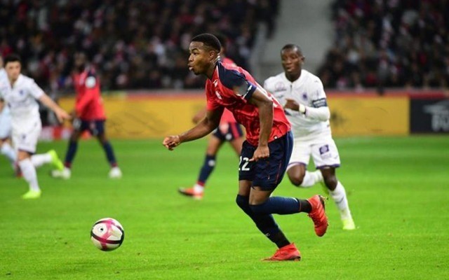 挥舞旗帜 挥舞旗帜