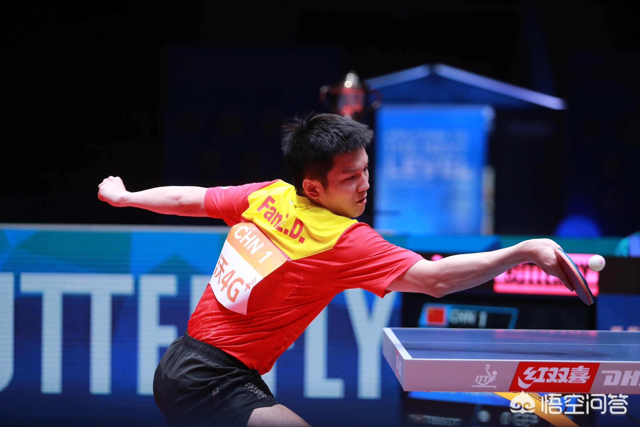 未来一定能 未来一定能